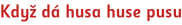 Když dá husa huse pusu